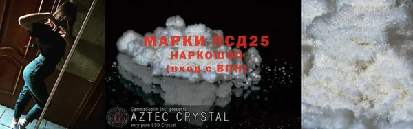 прущие грибы Сатка
