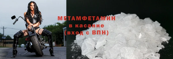 прущие грибы Сатка